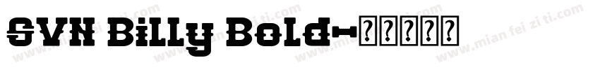 SVN Billy Bold字体转换